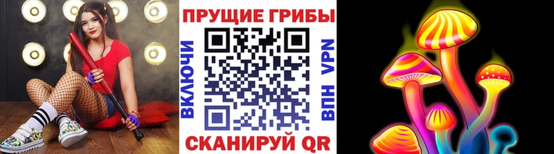 блэк спрут tor  Удомля  Галлюциногенные грибы мухоморы 